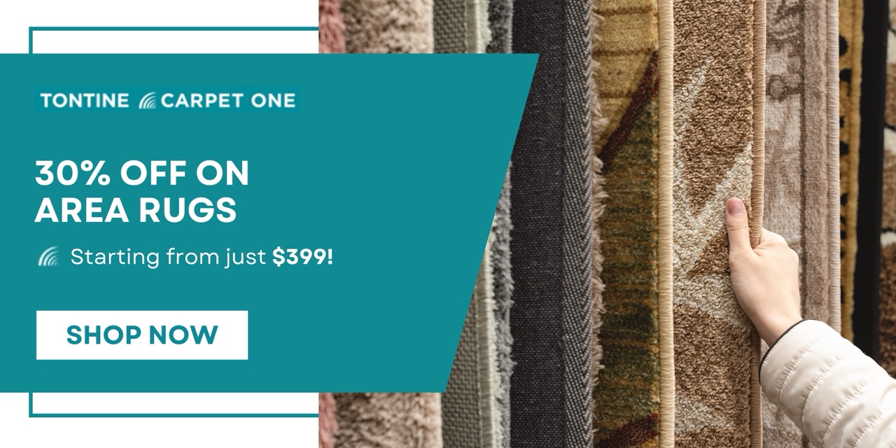 30% off area rugs