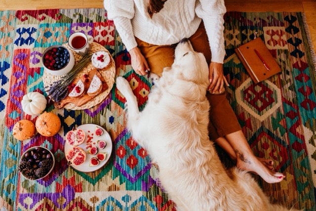 Rifle Paper Co. x Loloi rug collection at Tontine Carpet One Buffalo